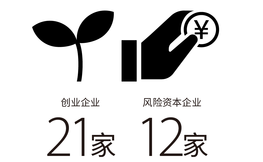 创业企业21家/ 风险资本企业12家